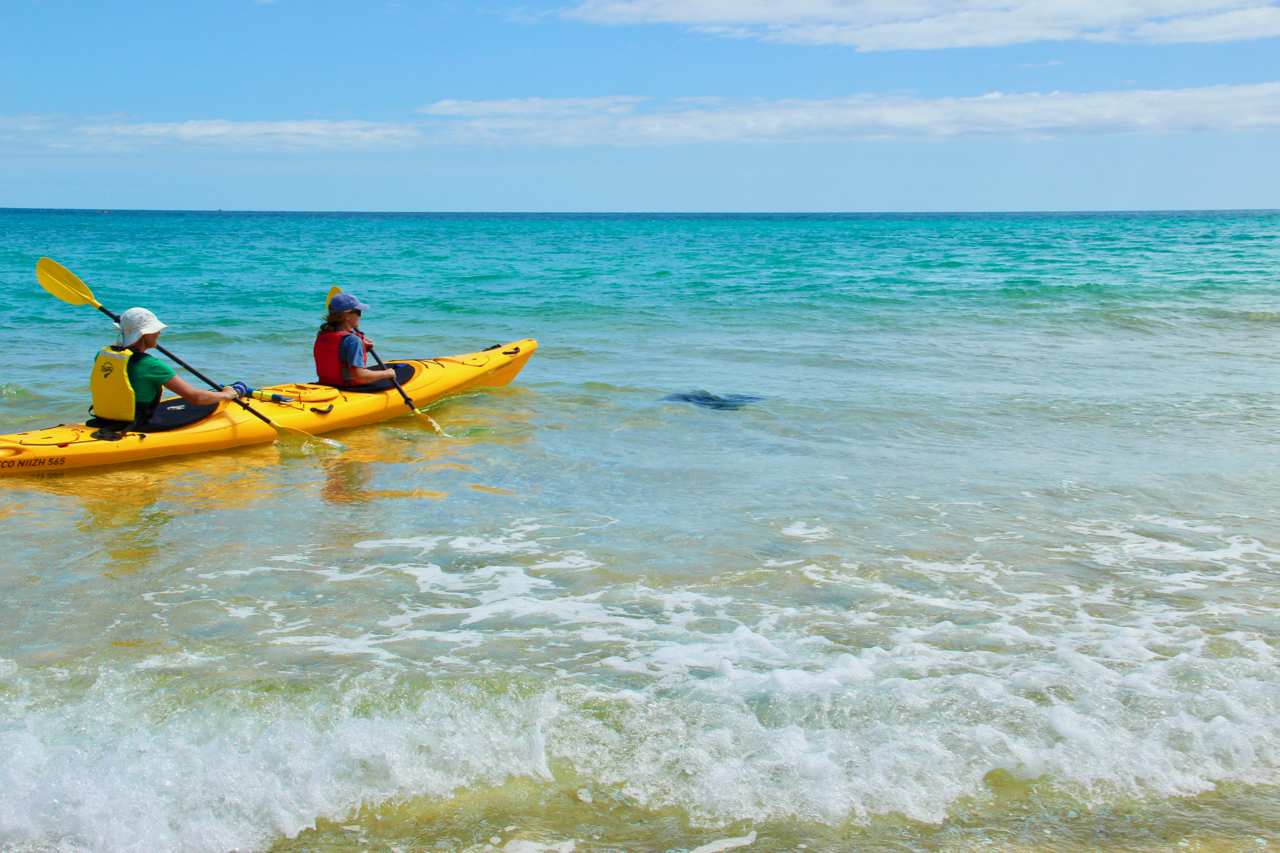 Awaroa Paddle & Stay