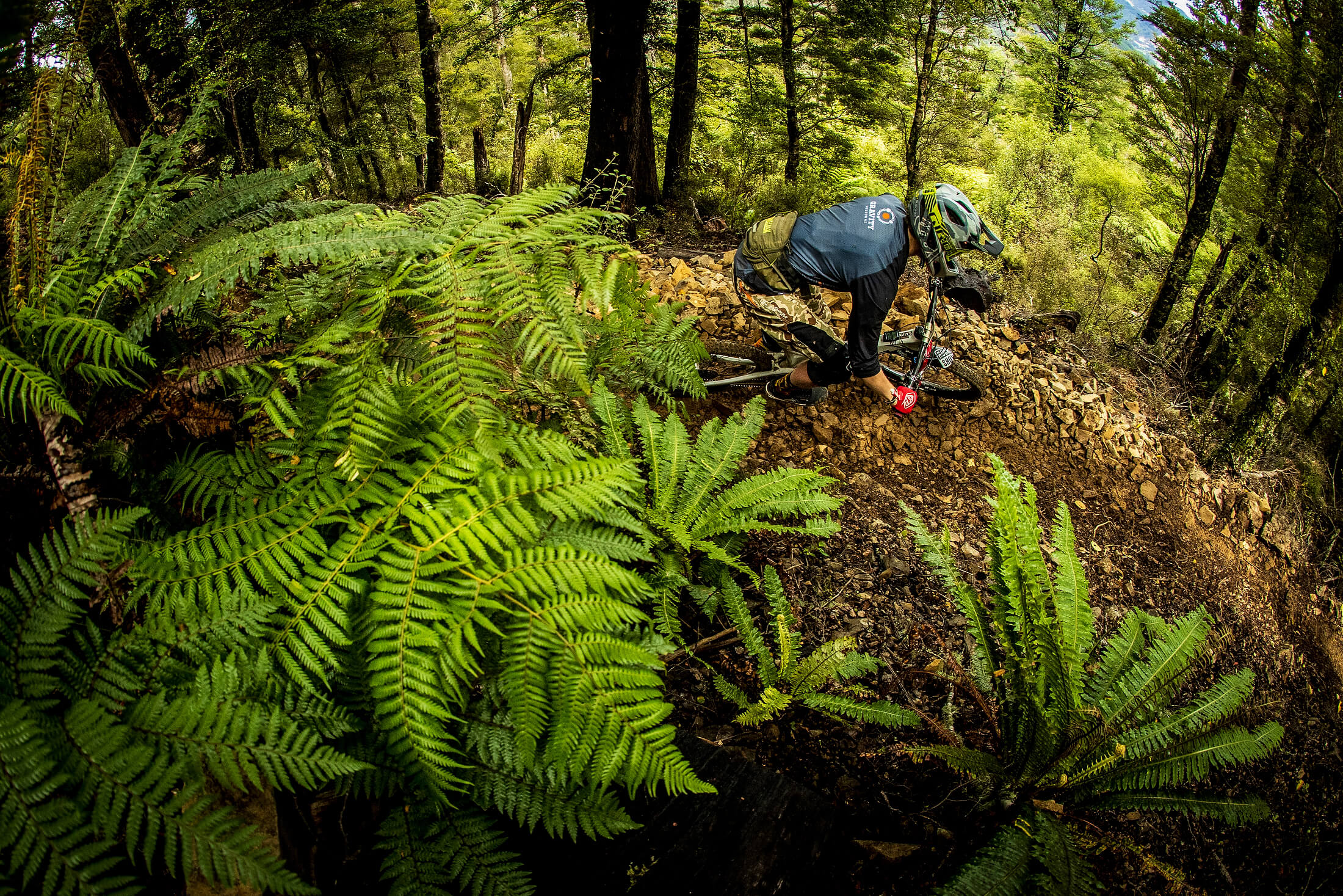 Ride the Best Trails