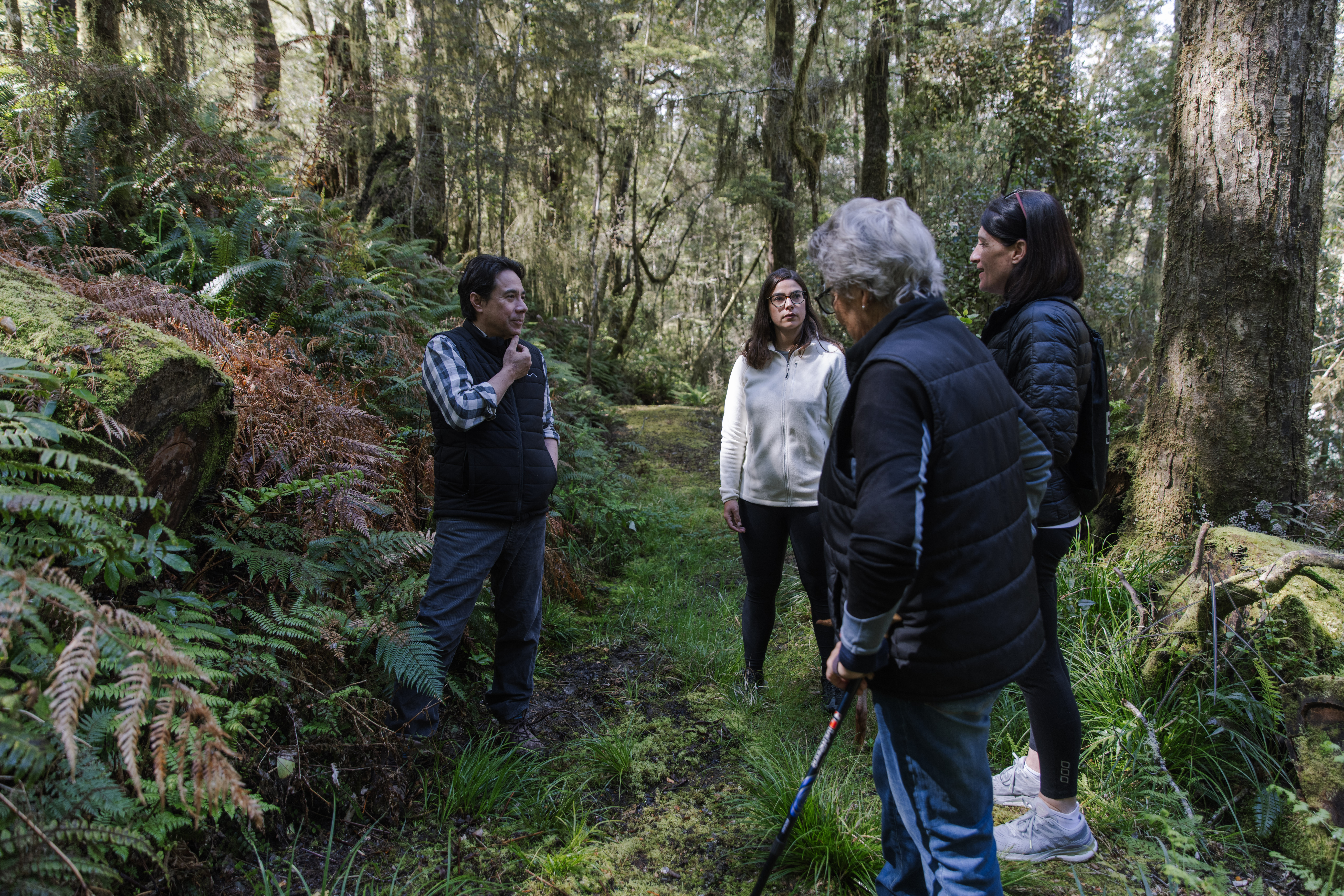 New Zealand Nature Escape