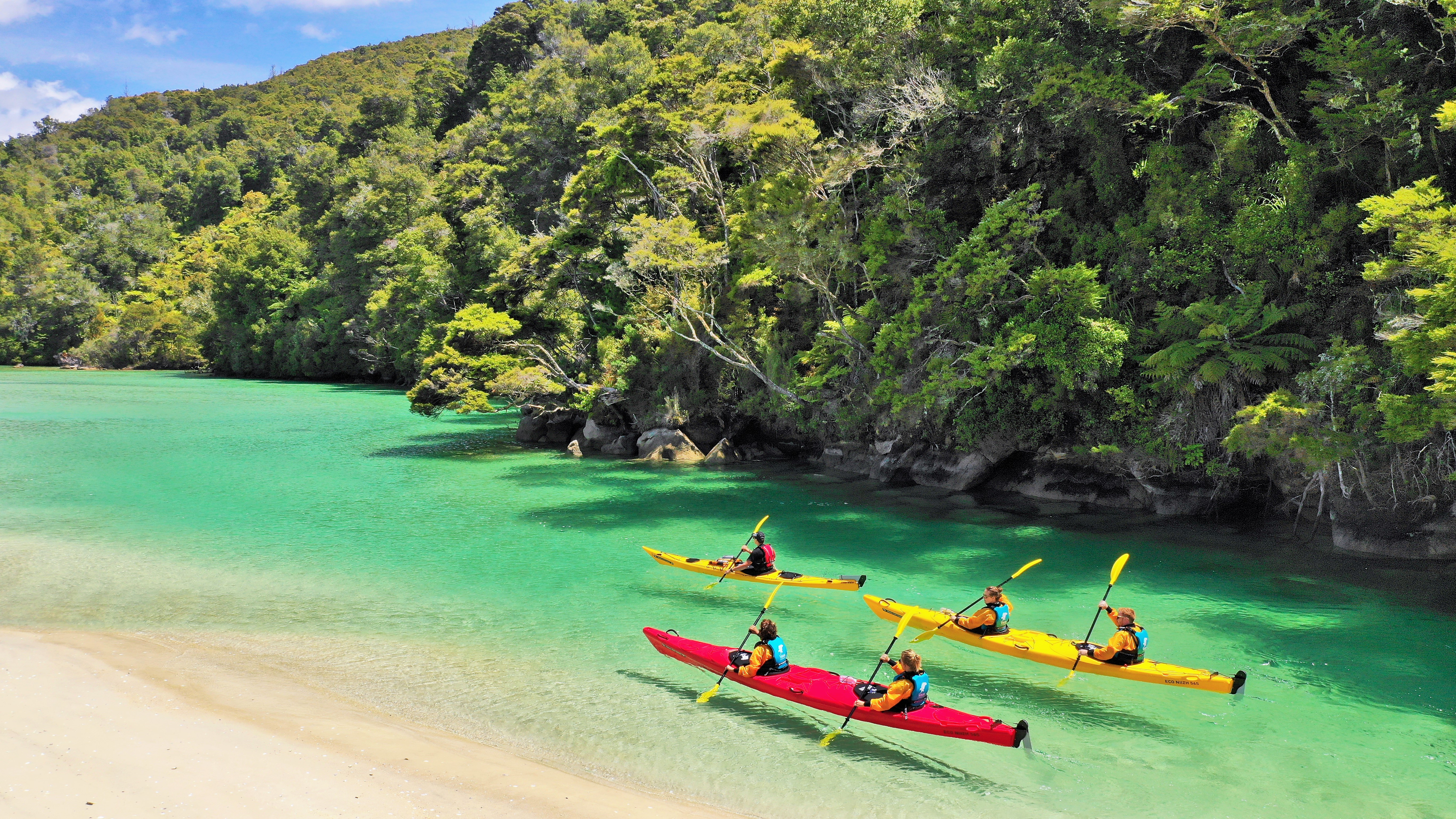 Locals Deal Nelson Tasman