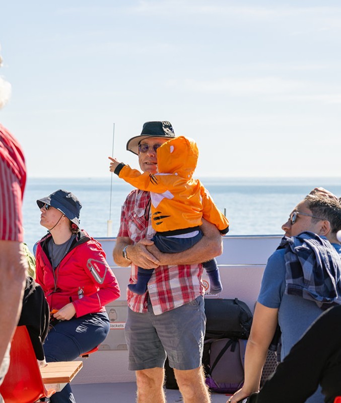 Under 5's Cruise Free