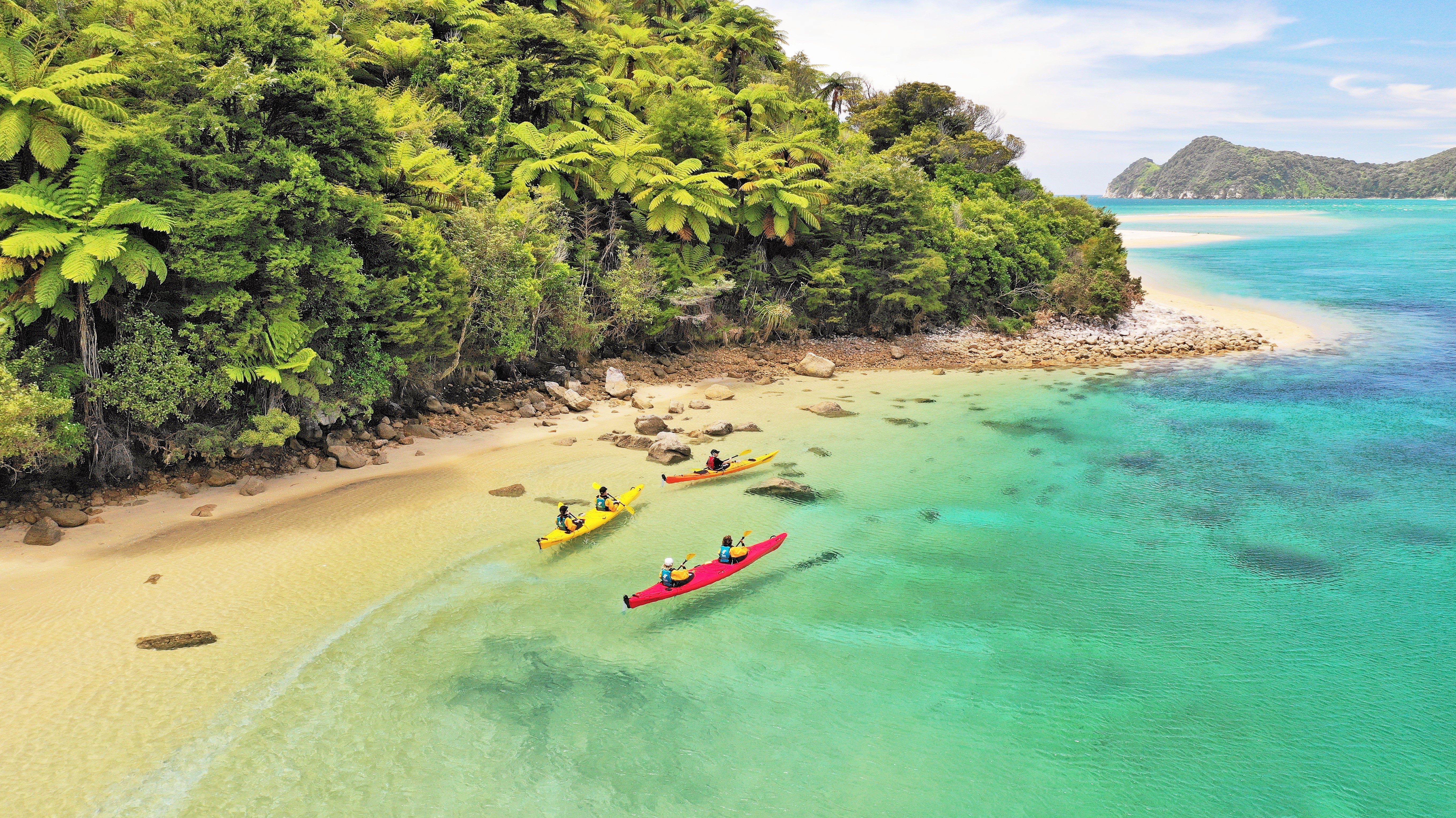 Locals Deal Nelson Tasman