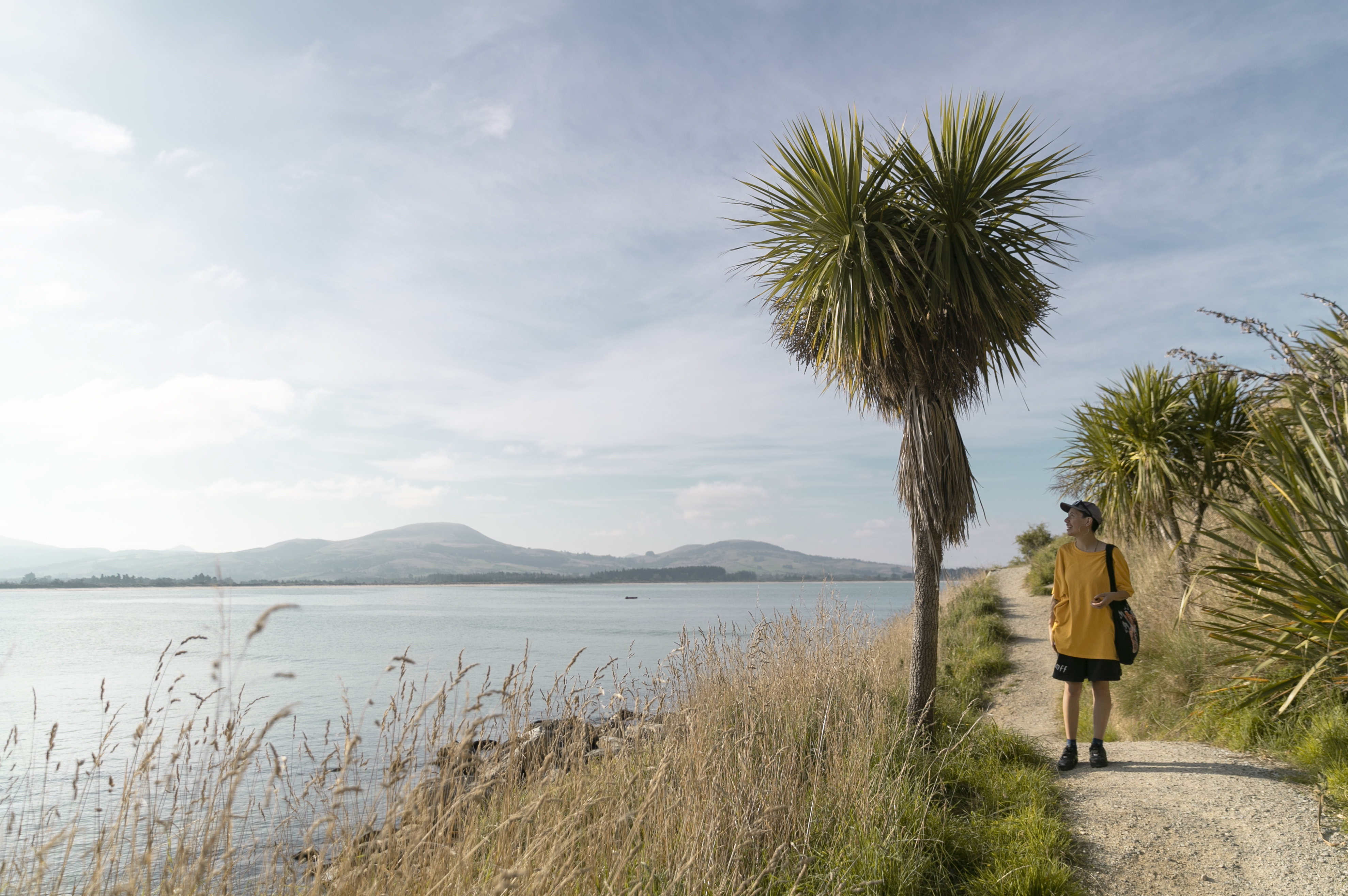 Huriawa Peninsula Walk