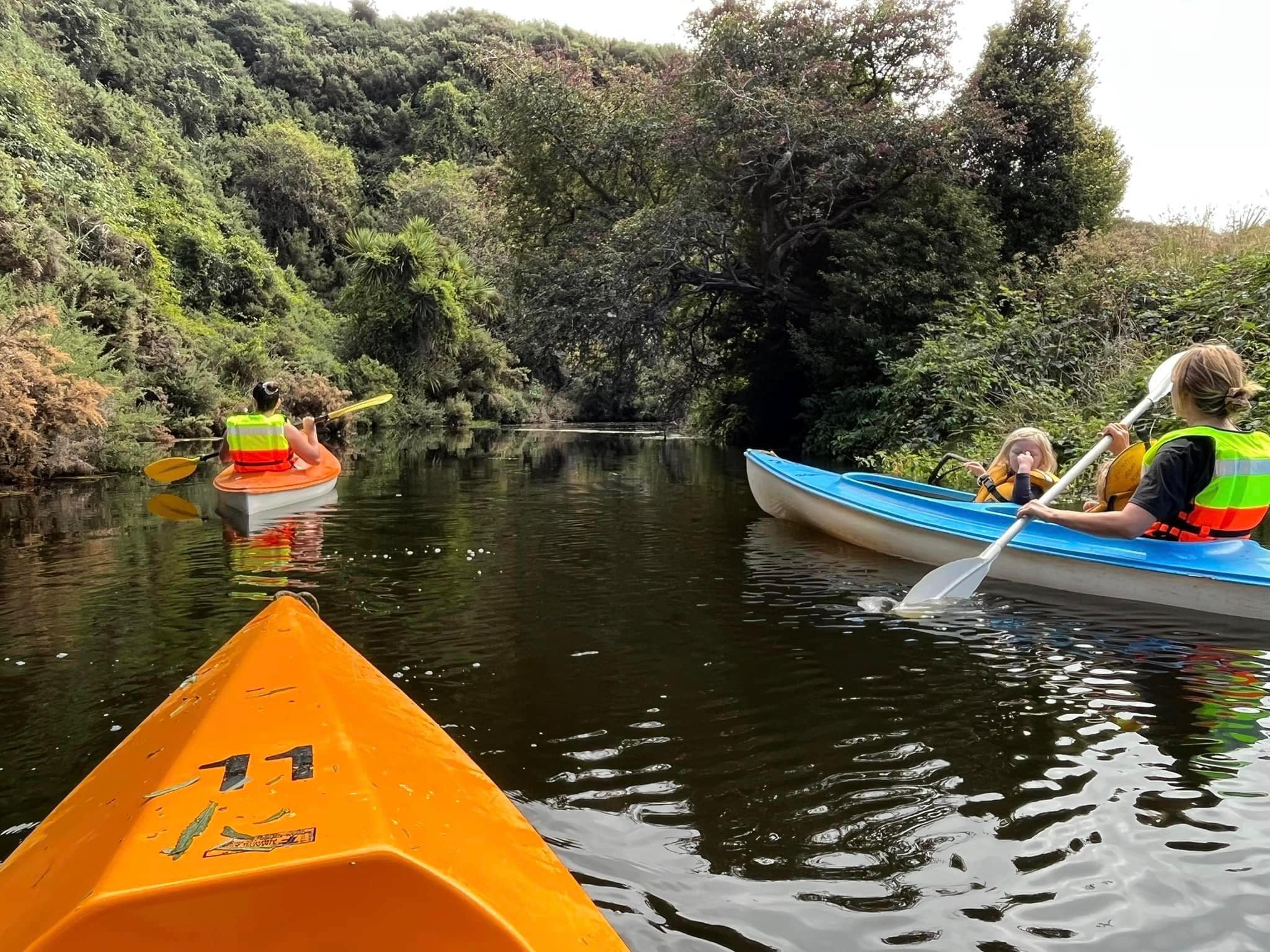 Photo of the native environment that can be accessed by boat or kayak up the creek.