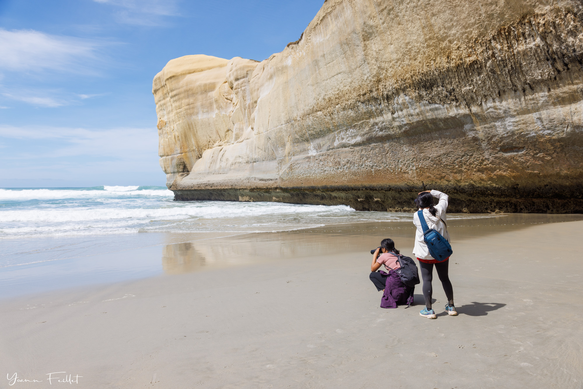 Landscape Photo Workshop in Dunedin & the Otago Peninsula - Antipodes Travel