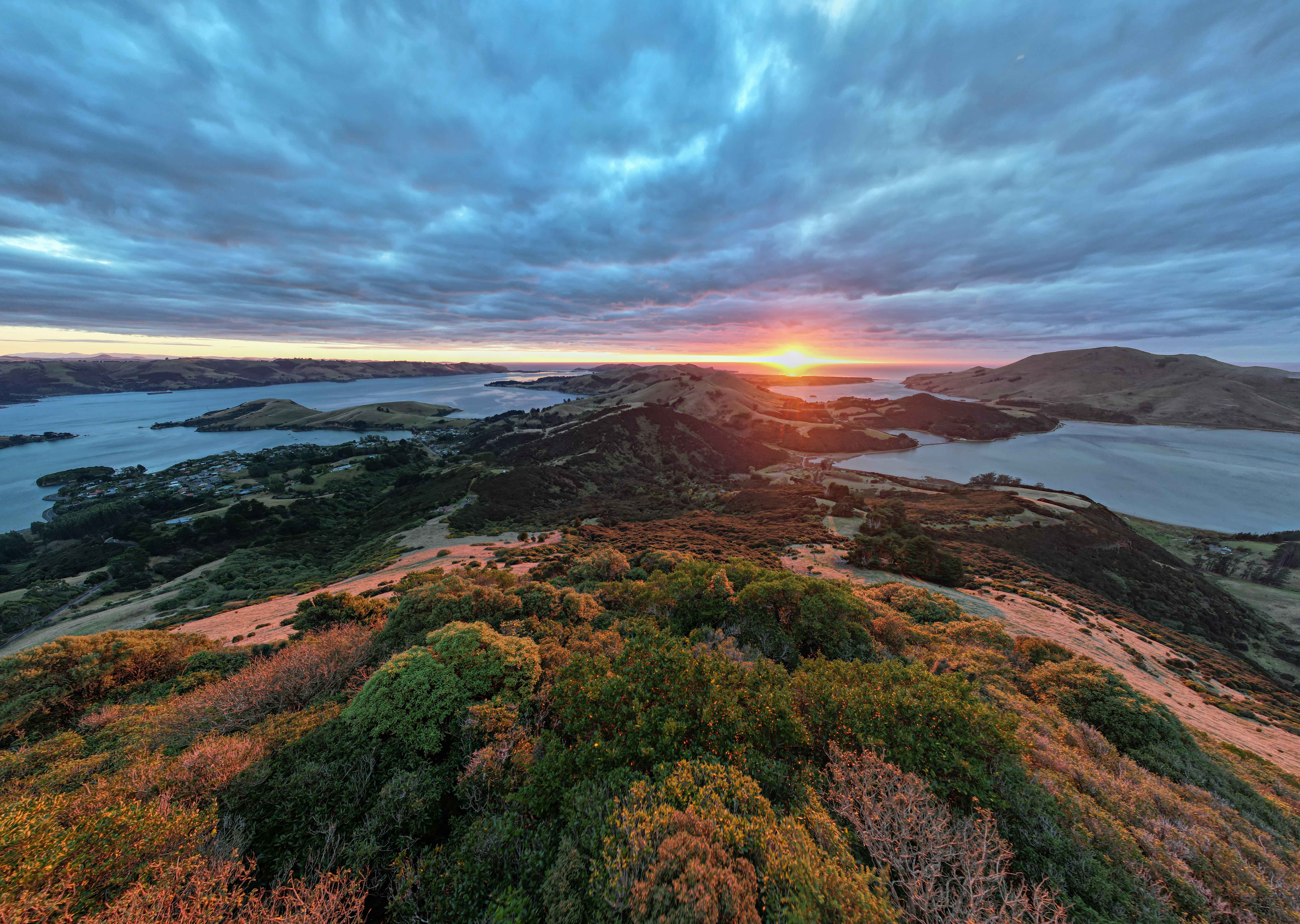 Harbour Cone Sanctuary