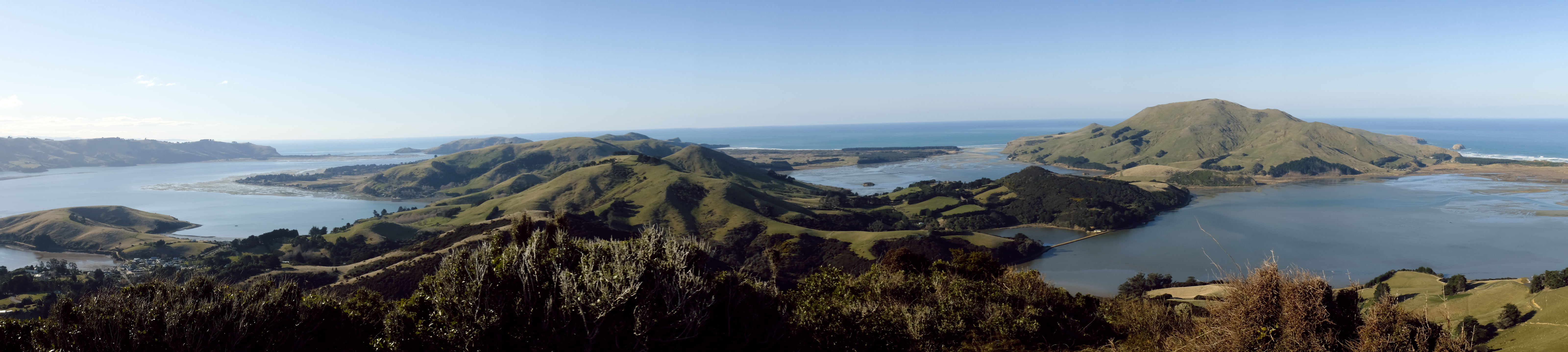 Otago Harbour/Peninsula hills
