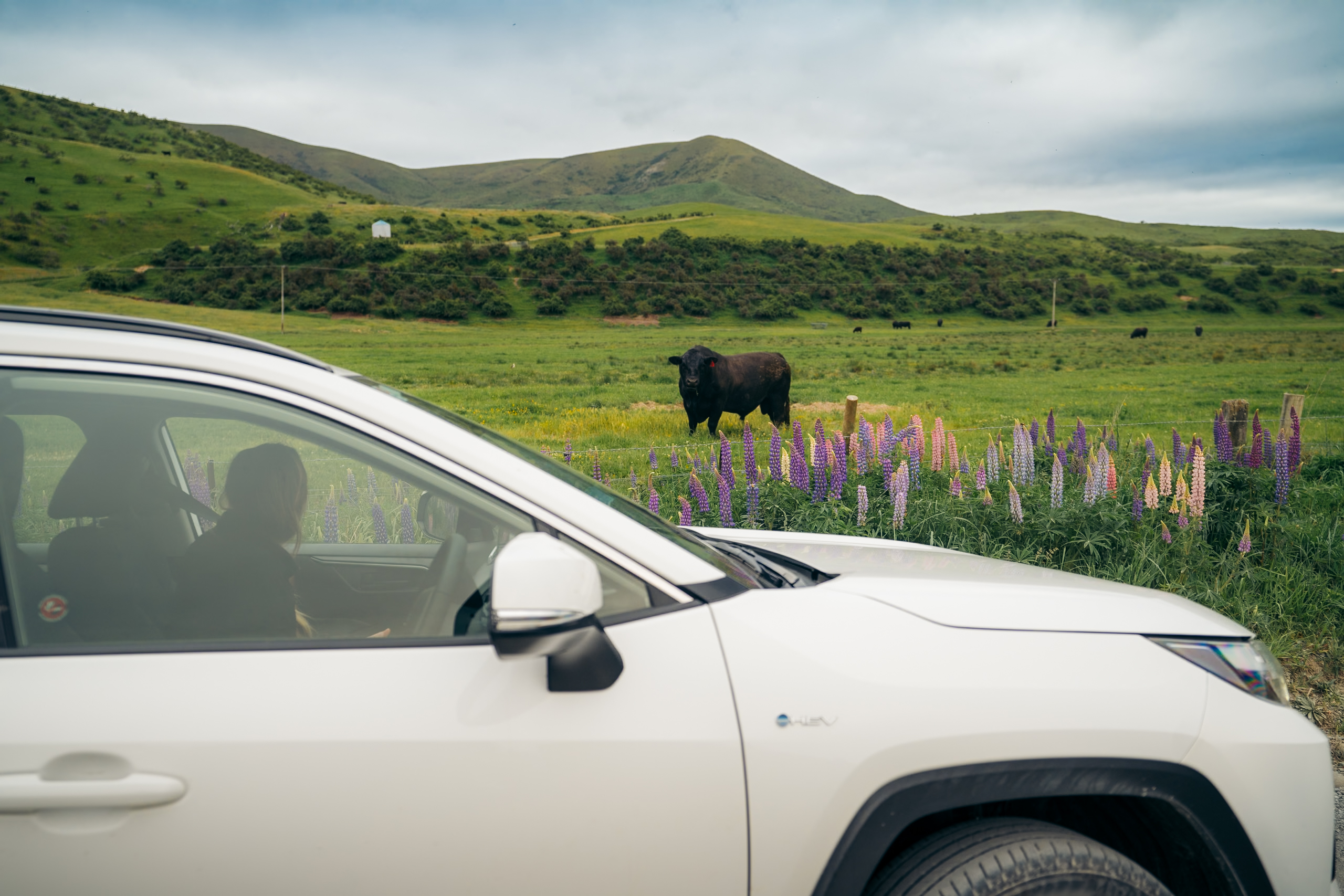 Ezi Car Rental - Dunedin Airport