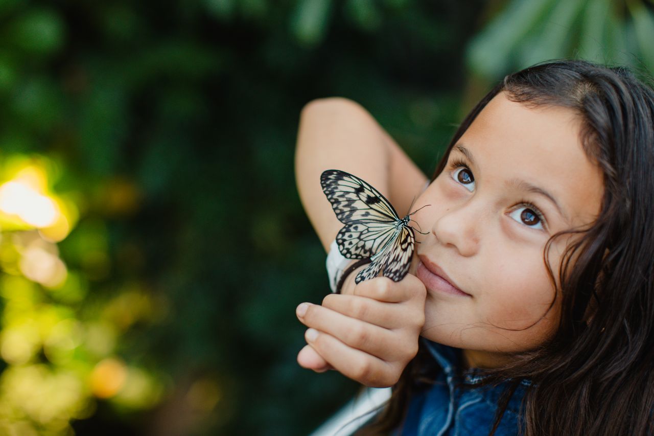 Come nose to nose with a butterfly