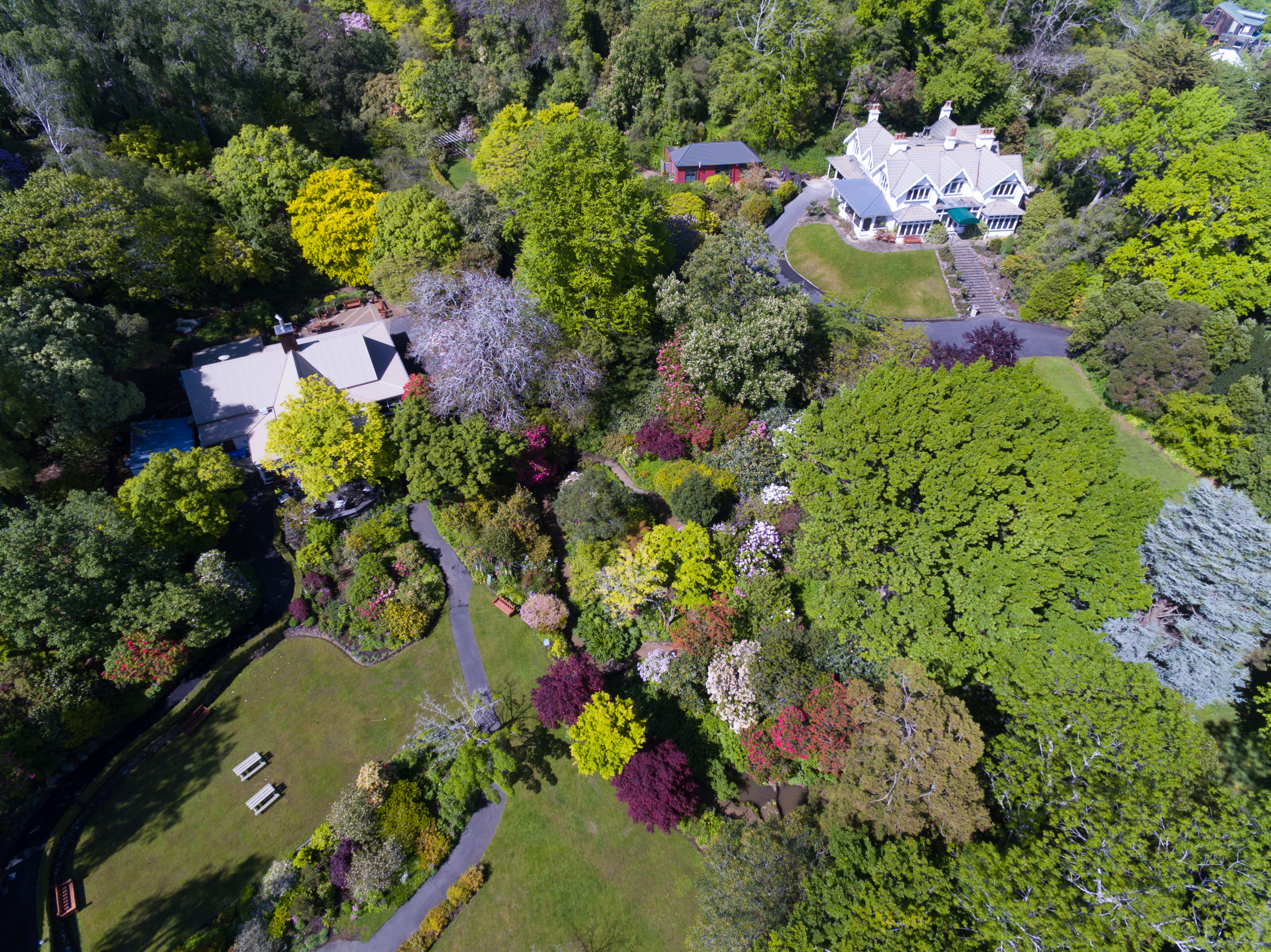 Glenfalloch Garden, 30 acres of historic woodland garden.