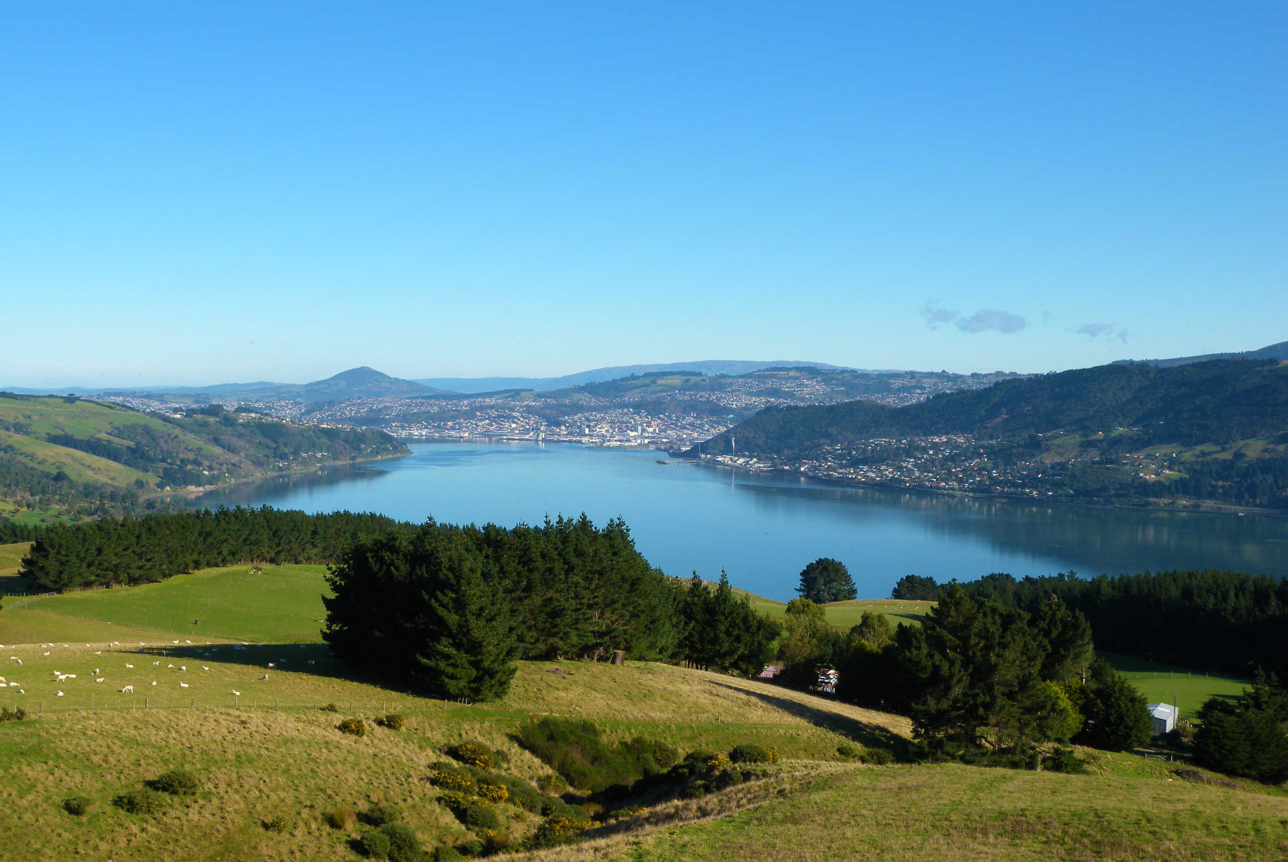 Otago Peninsula