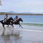 Beach Trek