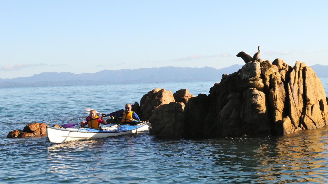 Lazy seal days. Abel Tasman Point. Golden Bay.