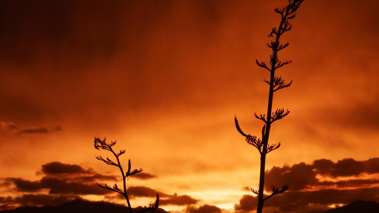 Sunset