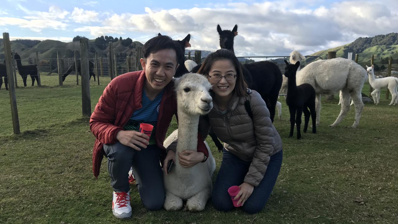 Join us for your Ultimate Alpaca Experience