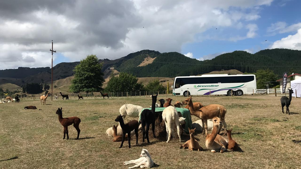 We have options for large group bookings