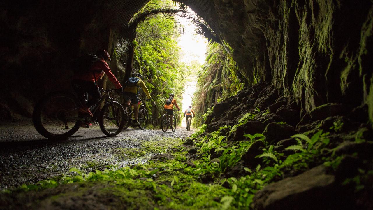 Historic tunnel on the trail. 