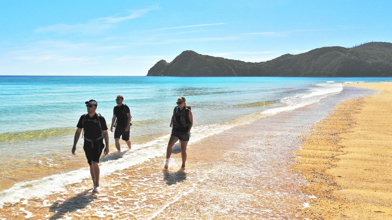 Beach Walk Abel Tasman Coast Track