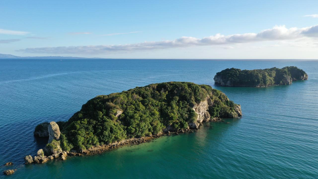 Tata Islands. Abel Tasman National Park
