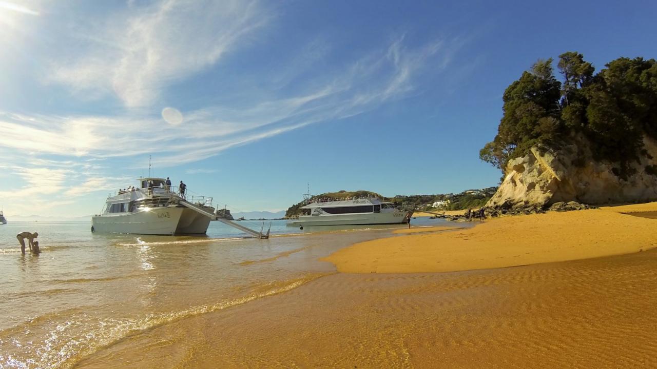 Fast, comfortable boat transfers for same cost as Water Taxi fare