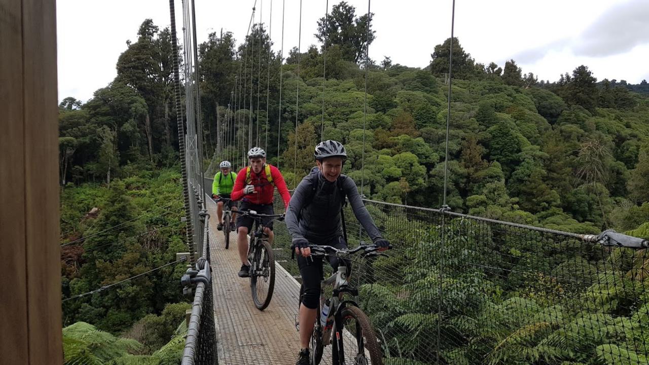  Maramataha Bridge, Pureora Forest