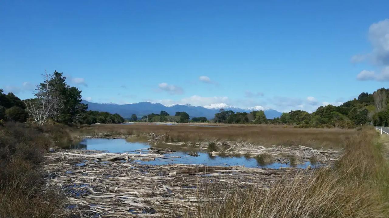 Waikato Inlet.