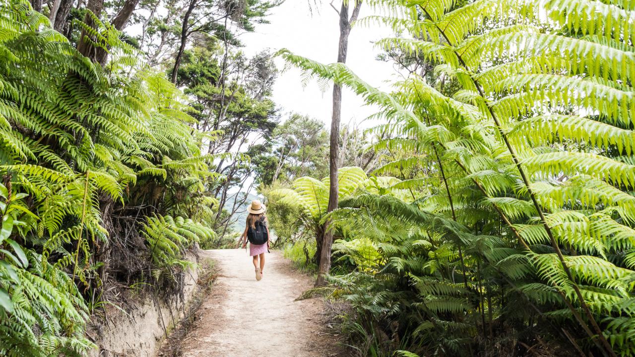 Walking the coastal track