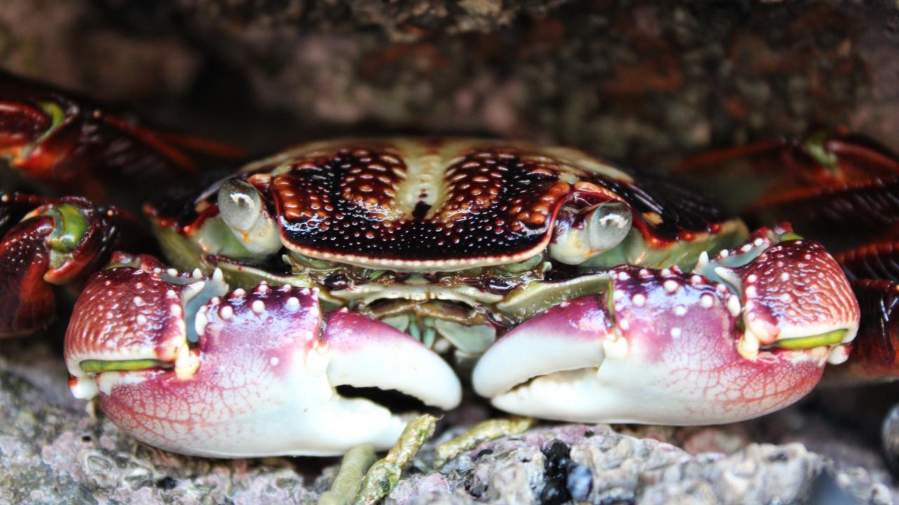 Discover the wildlife
