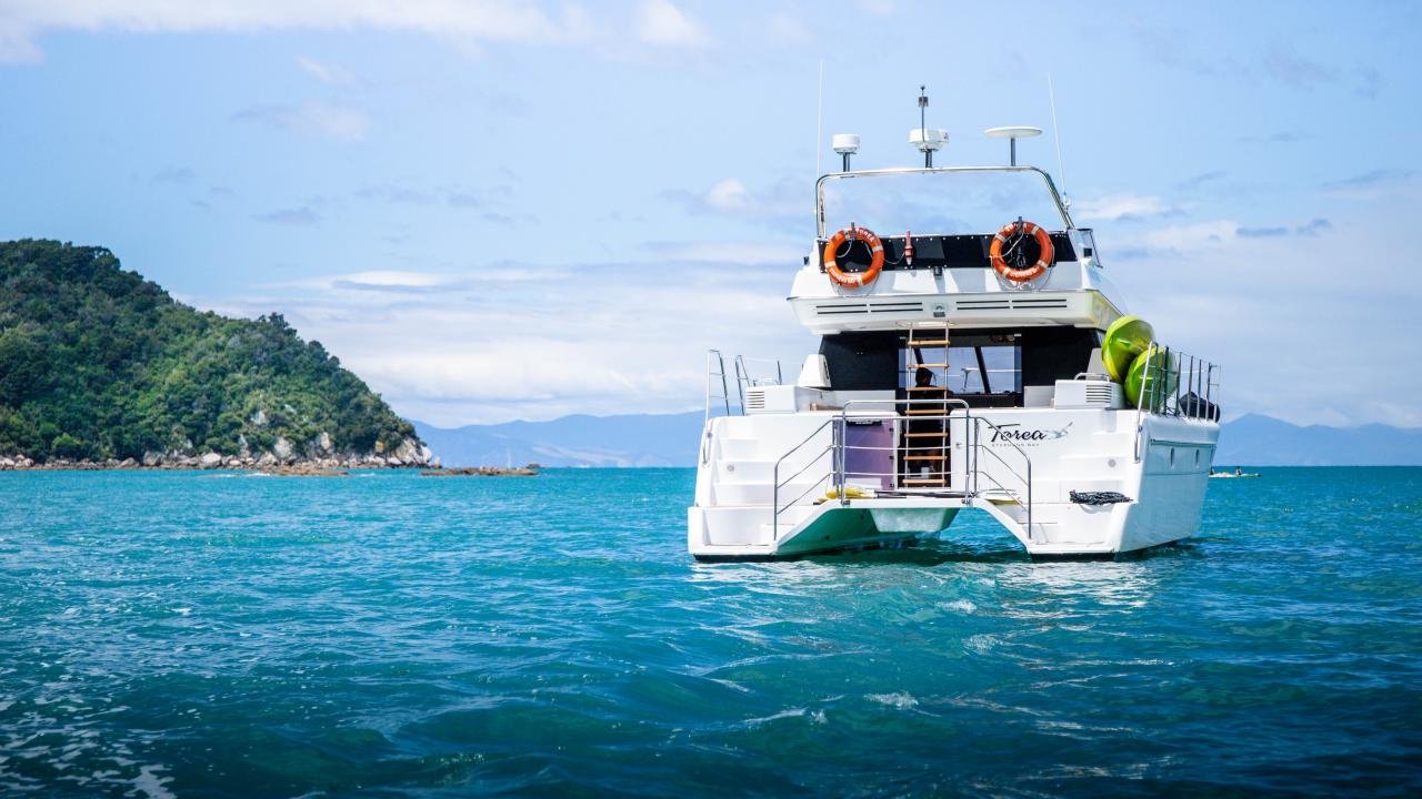 Welcome aboard our comfortable catamaran Torea. She is well appointed with a great fly deck for wildlife viewing and night sky stargazing. The Anchorage on a clear night is a fantastic dark sky landscape where the chance of seeing bioluminescence is high.