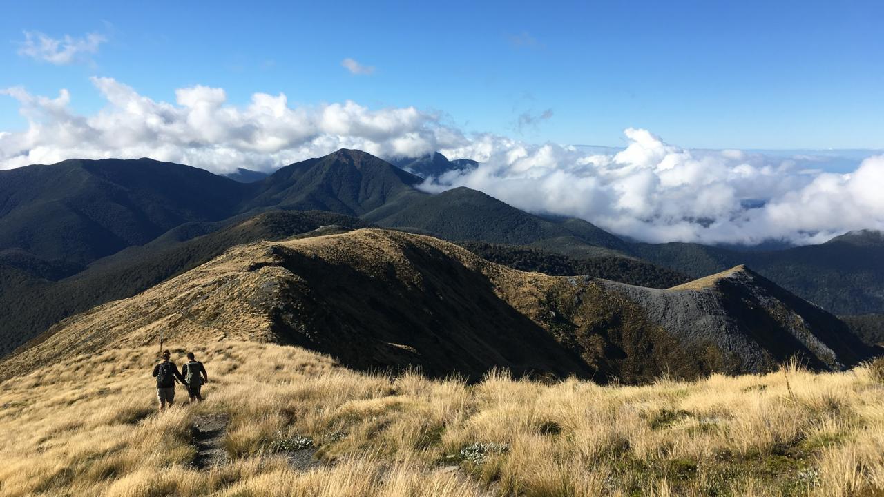 Ridgeline on Mt Arthur