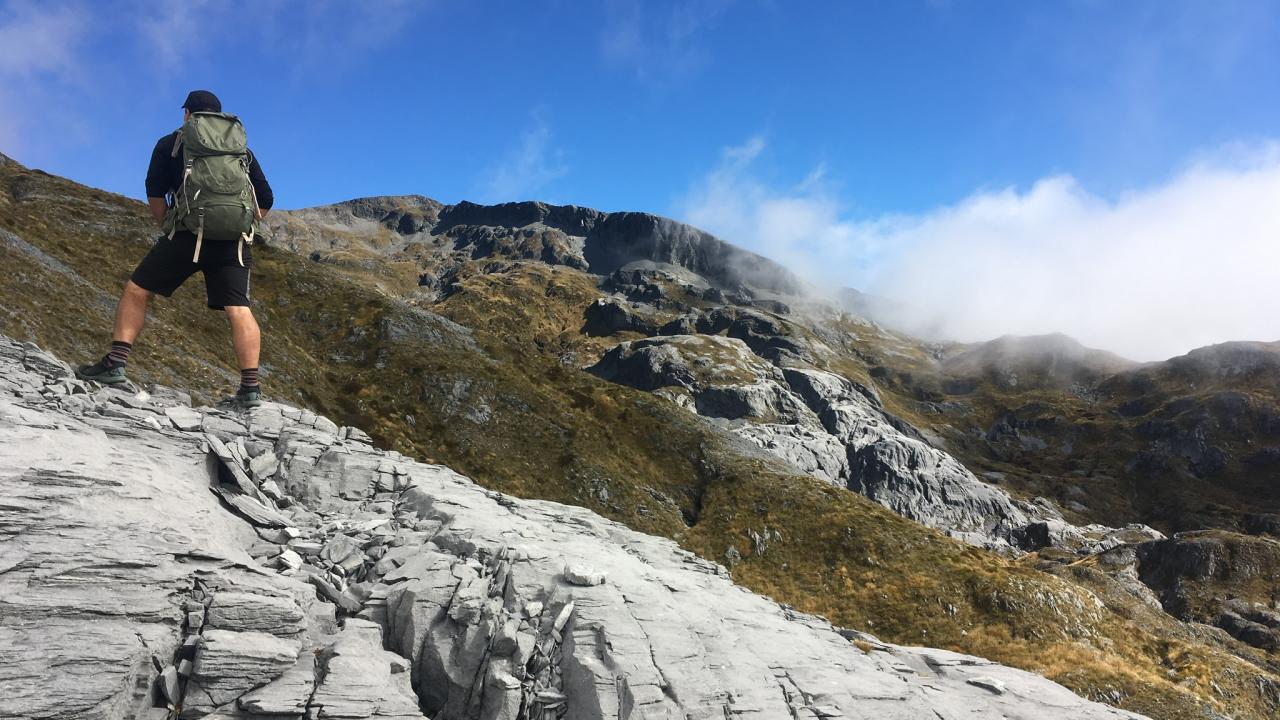 Heading to the Mt Arthur summit