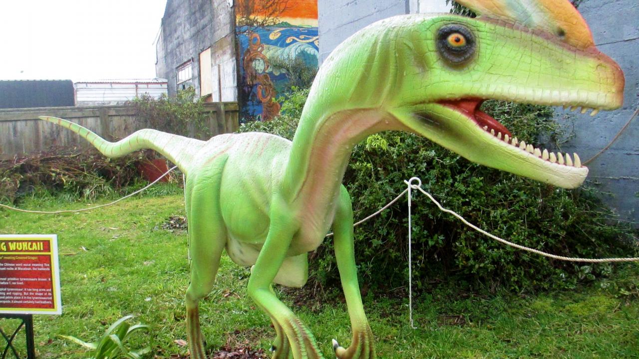 A Guanlong dinosaur displayed in our new dinosaur garden.