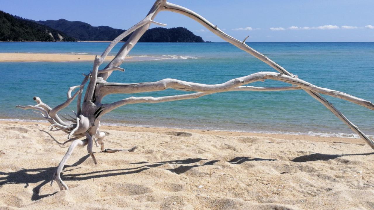 Beach Bounty Awaroa Abel Tasman National Park