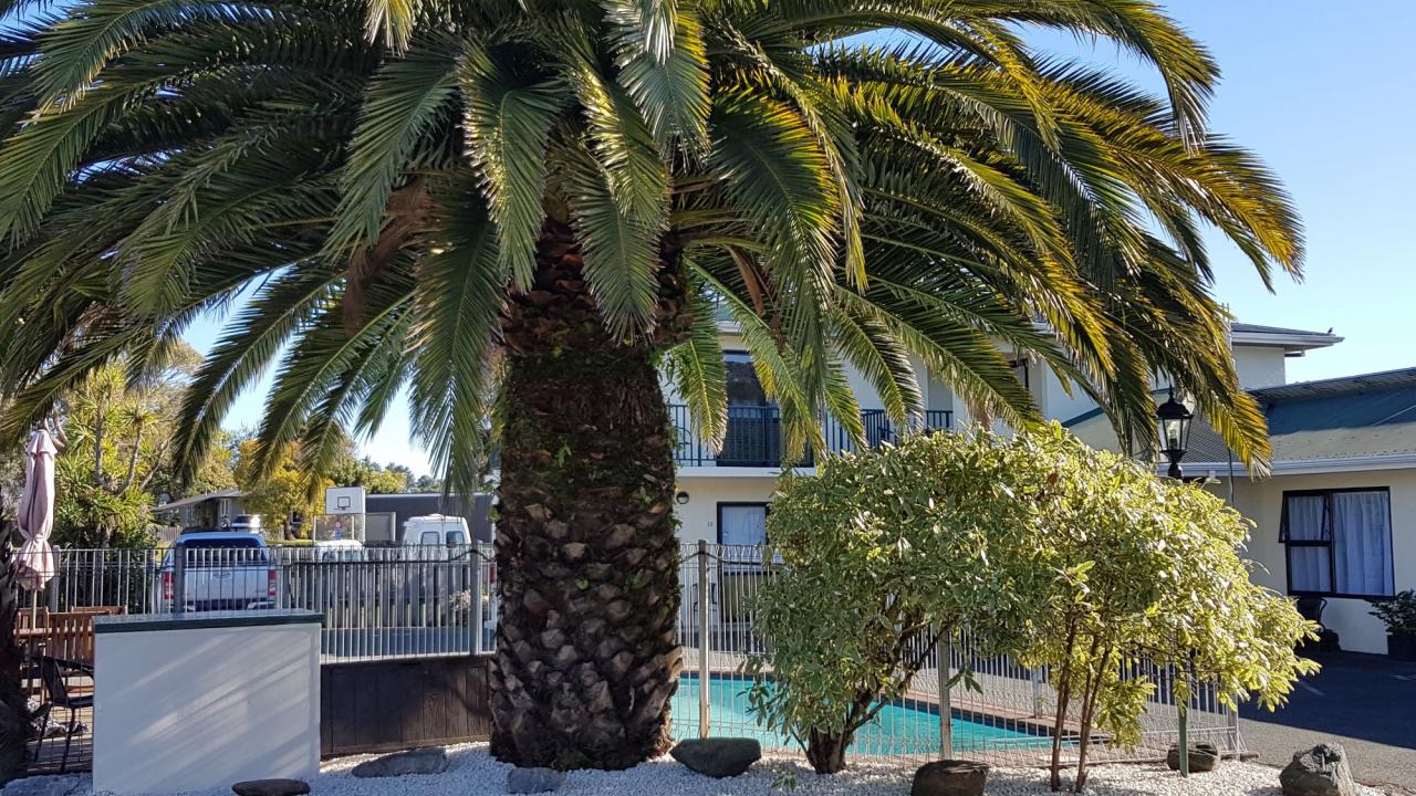 Pool and Garden