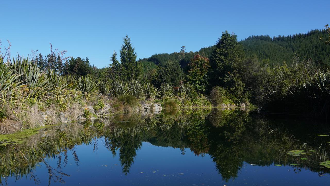 Tranquil lakes.