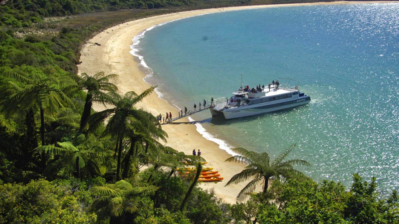 Journey from Kaiteriteri to Totaranui aboard a 90-minute boat cruise.