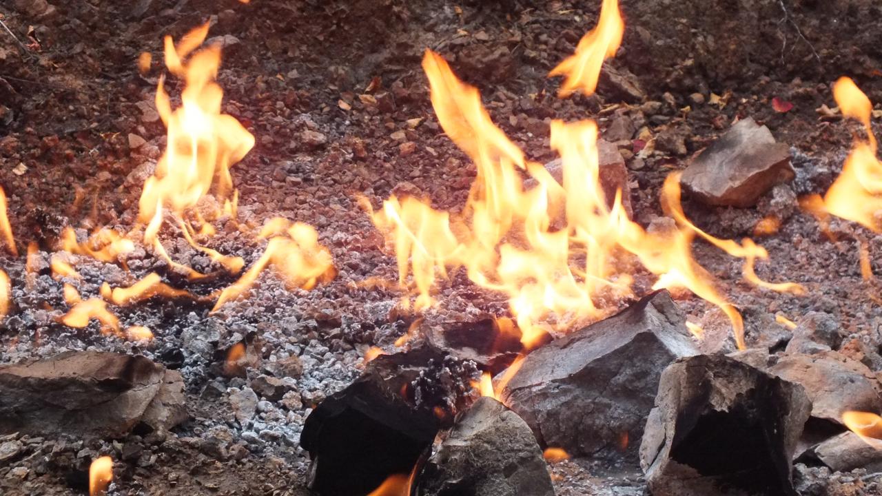 Flames on forest floor