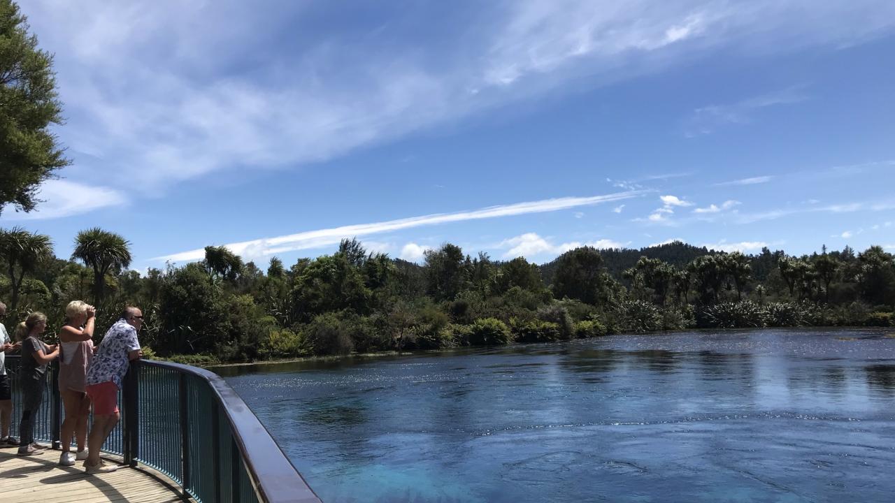 Visit Te Waikoroupupu Springs, the largest freshwater springs in the southern hemisphere - a must see while visiting Golden Bay