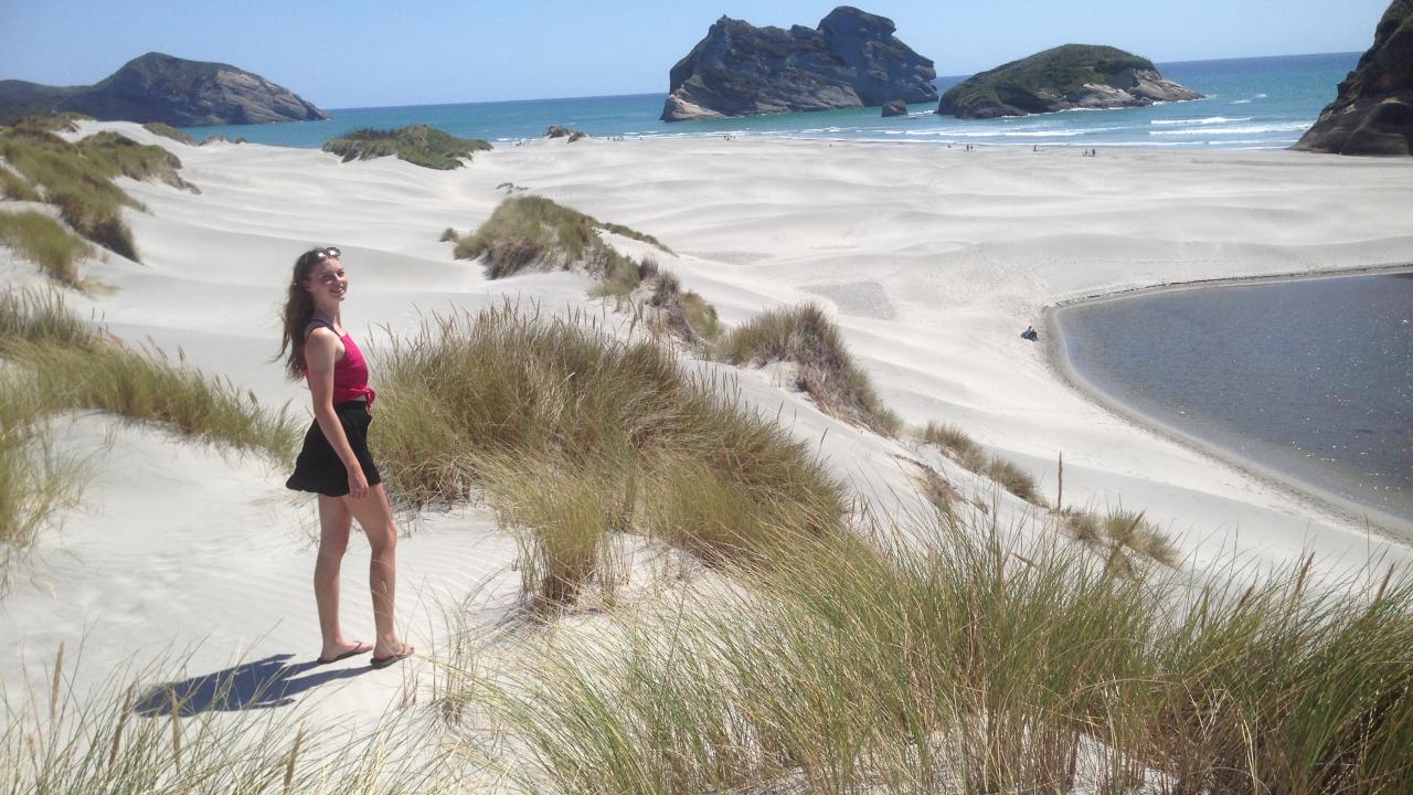 Take a drive out to Wharariki Beach at marvel at the massive sand dunes, pounding surf and local sea life