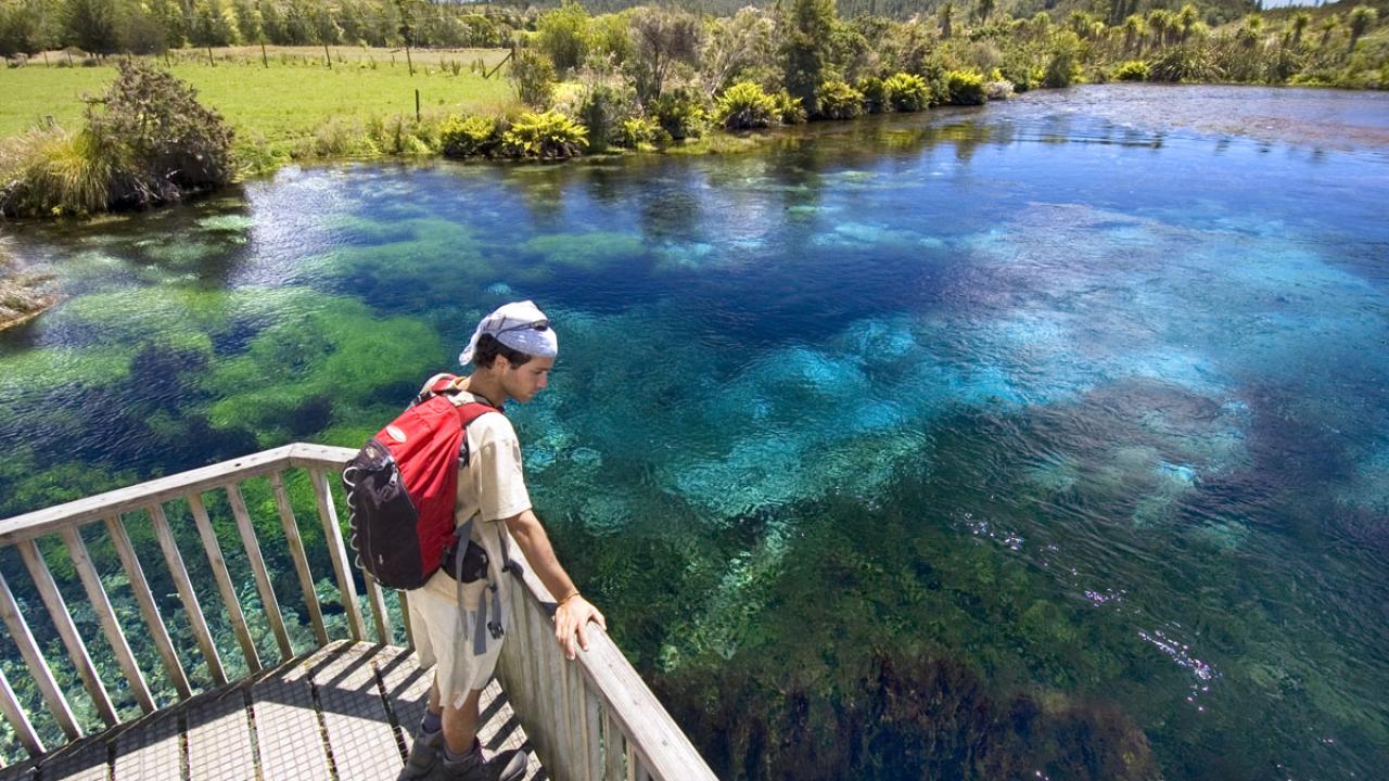 Tour includes a visit to Te Waikoropupu Springs - New Zealand's largest freshwater springs in the southern hemisphere.