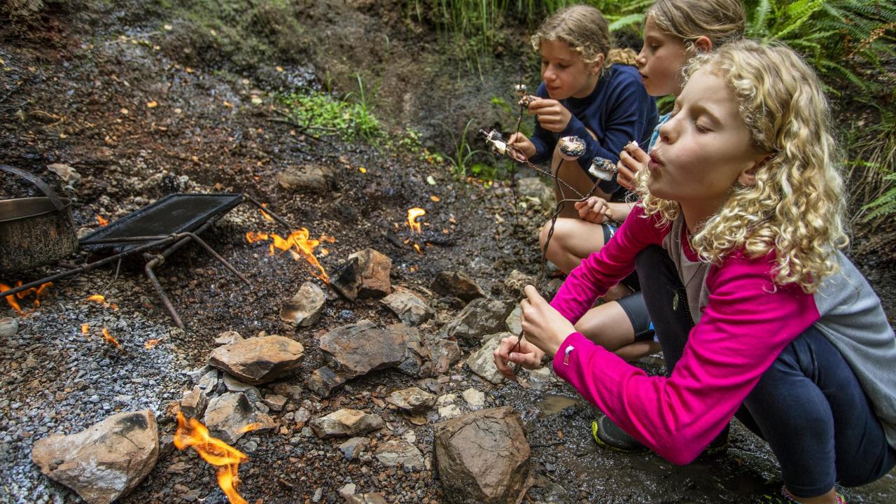 Toasting marshmallows