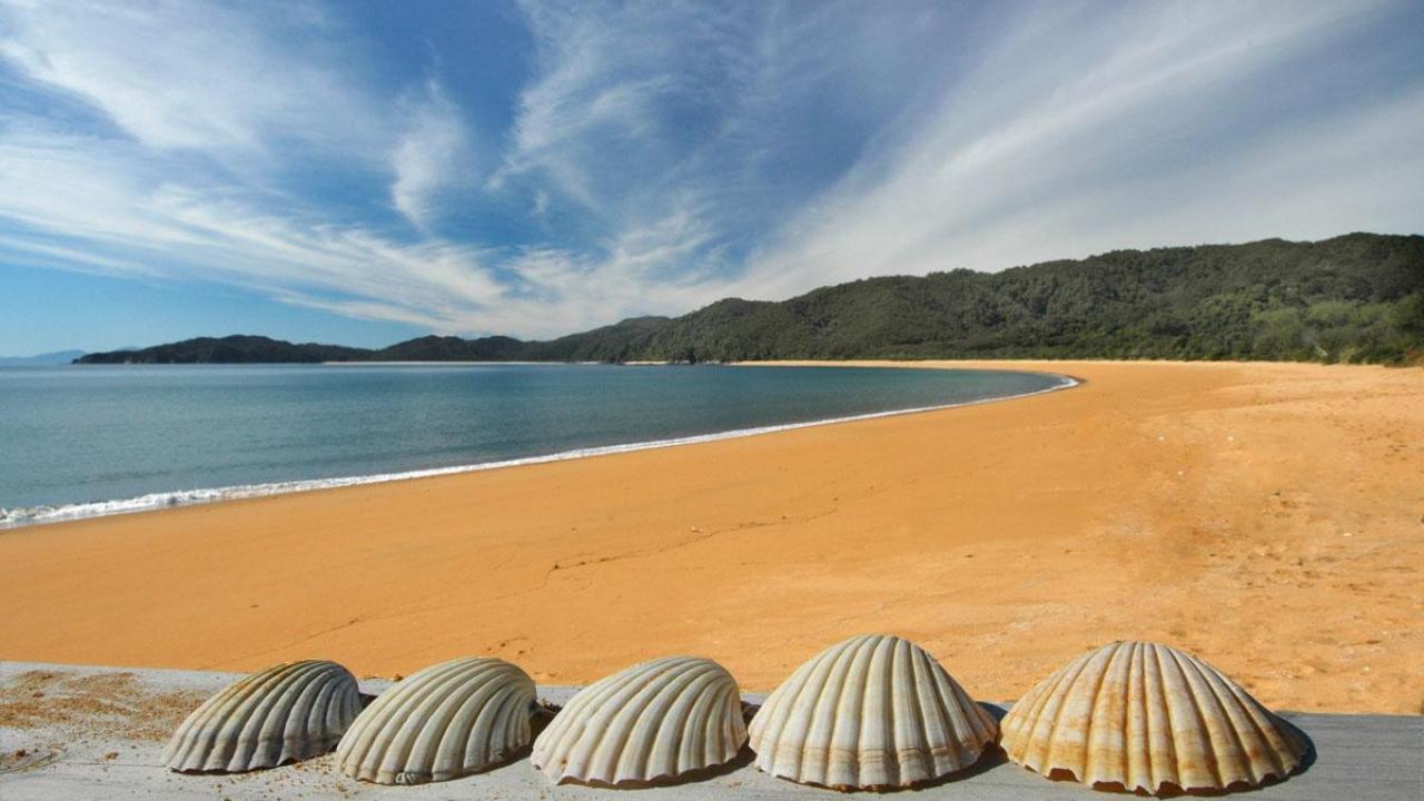 Spend time on Totaranui Beach in the northern Abel Tasman.