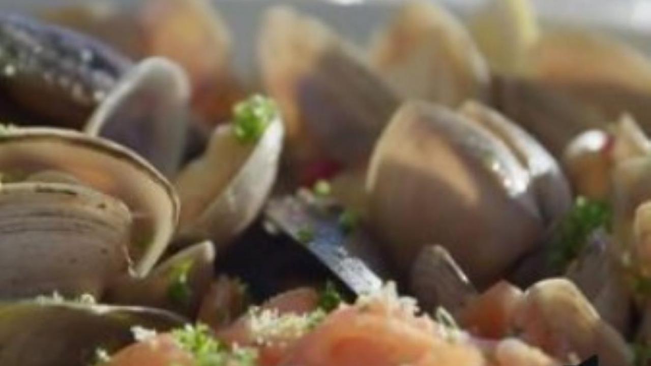 Mussels