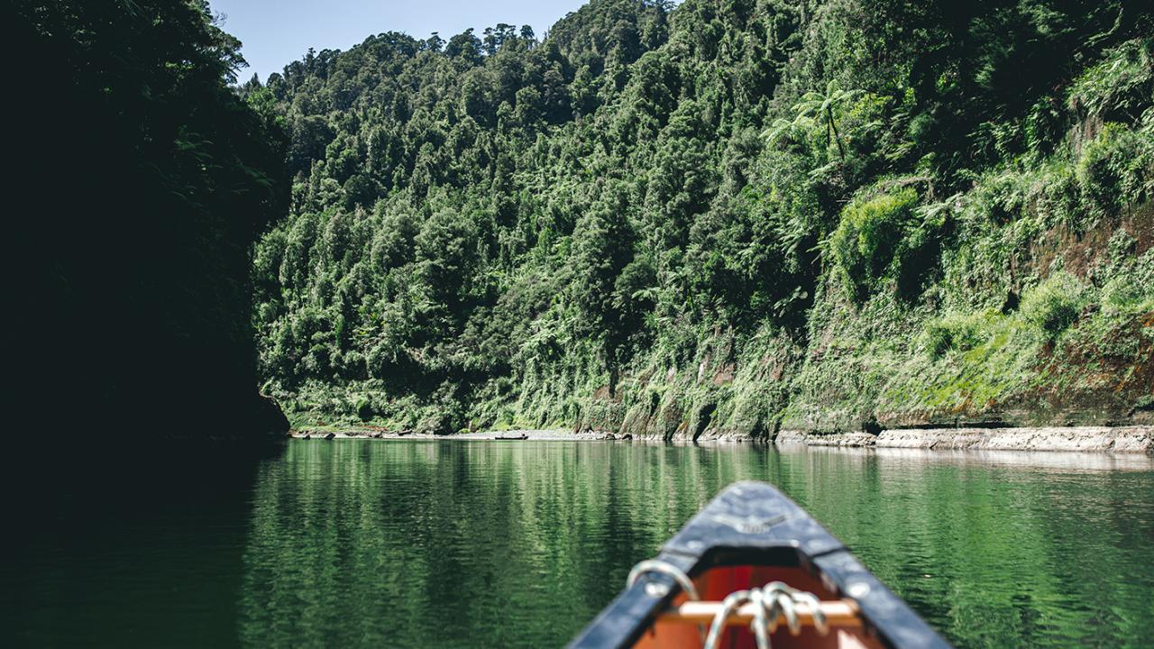 Adrift Tongariro: Whanganui River guided canoe trip