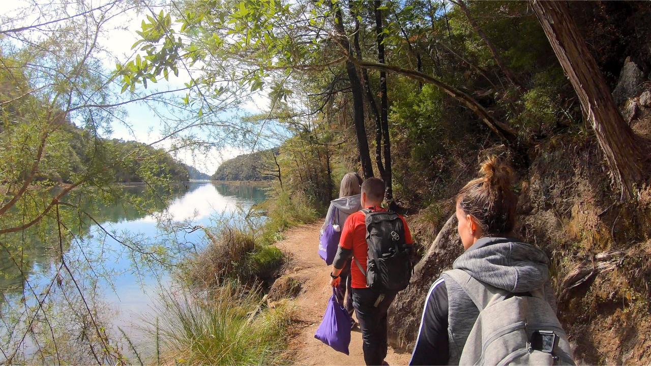 Walking in the Abel Tasman