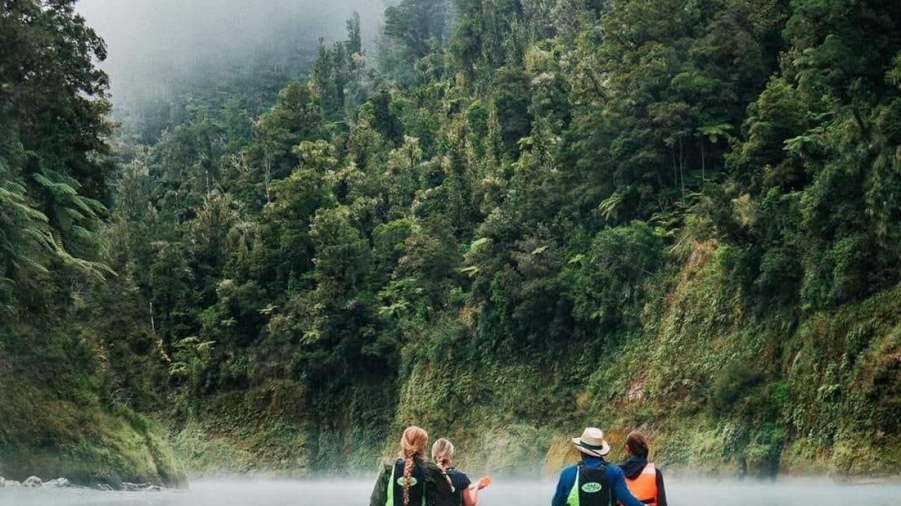 Canoeing through morning mist on Te Awa Tupua, our special river