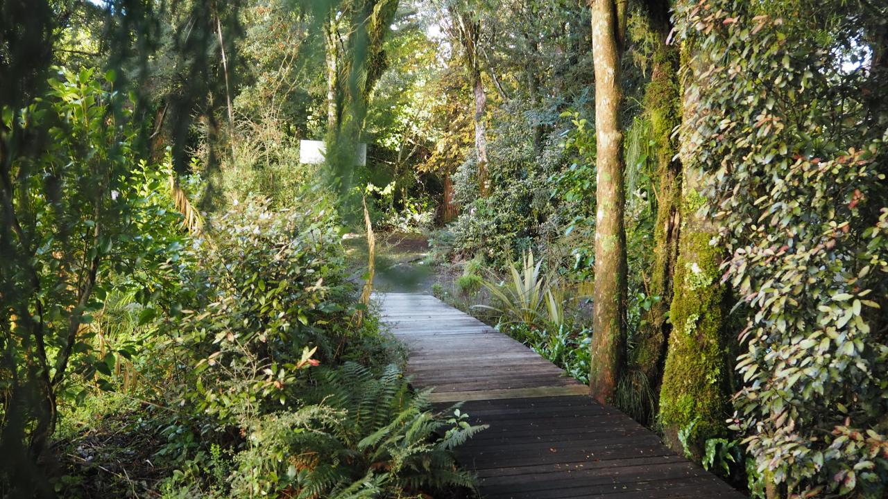 Alpine Chalets Tongariro