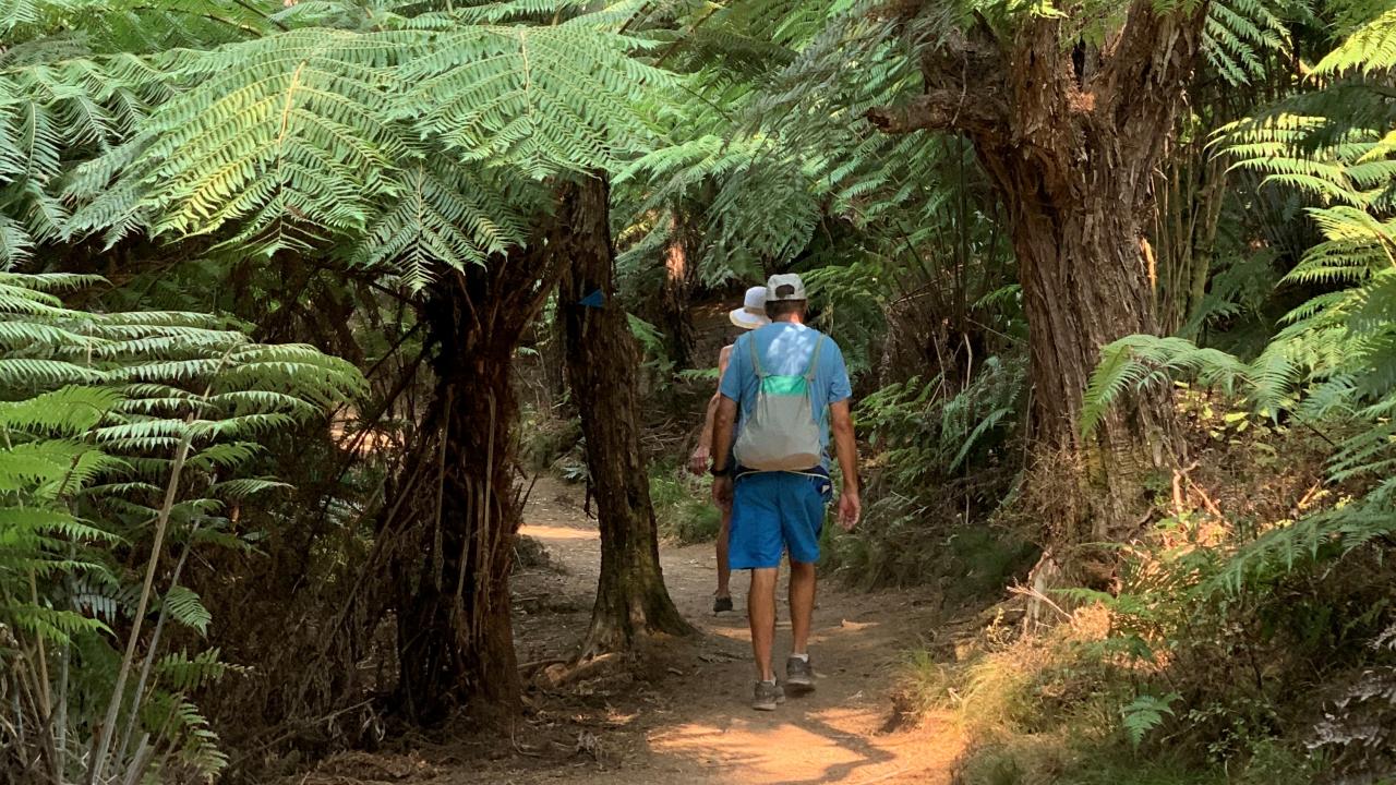 Walk the Abel Tasman Coastal Track