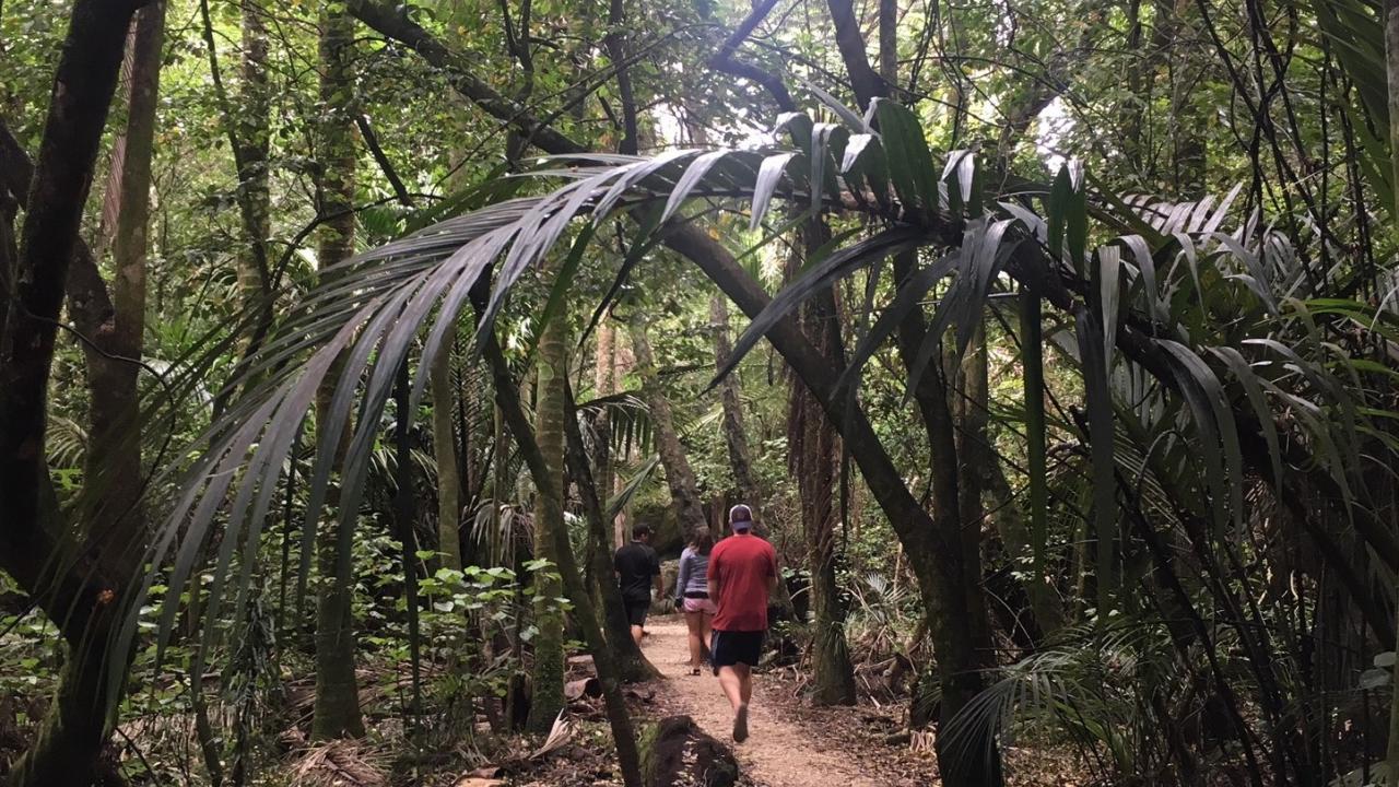 Grove Reserve