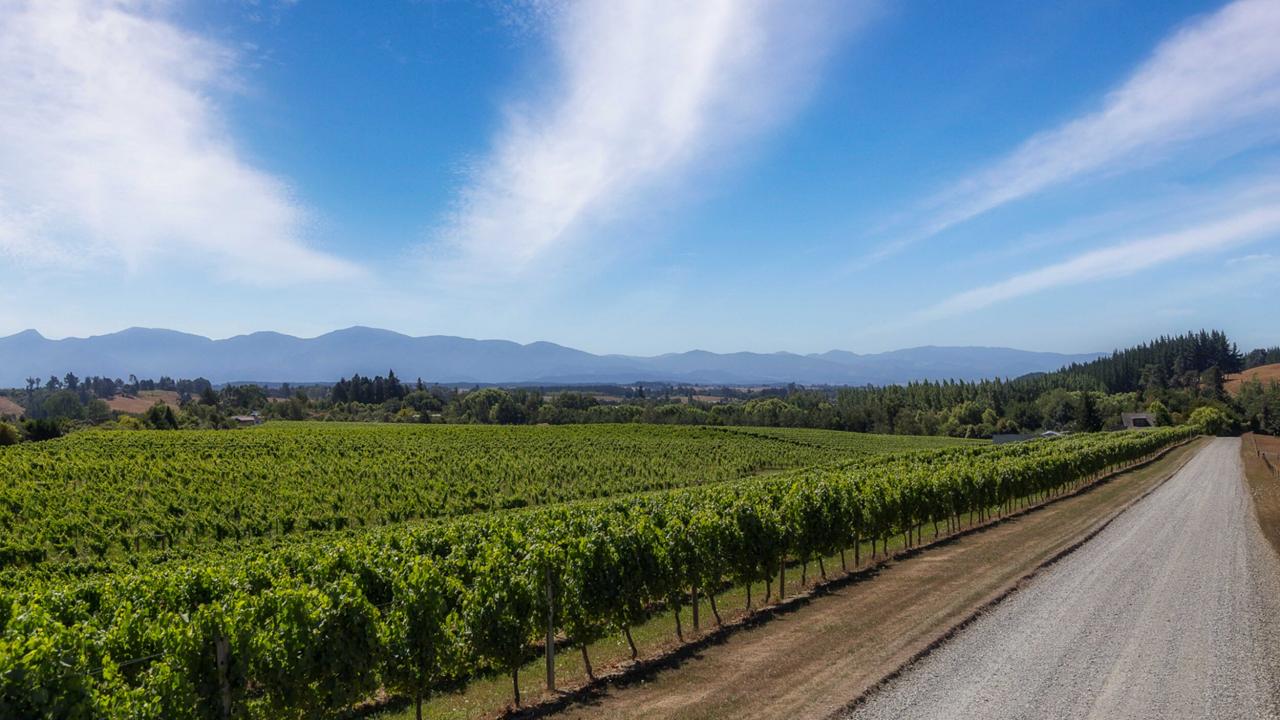 Vineyards in the Upper Moutere
